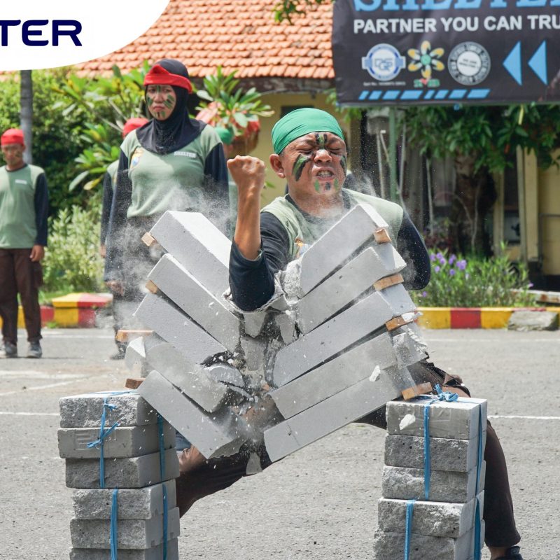 SHELTER-00447-copy-scaled